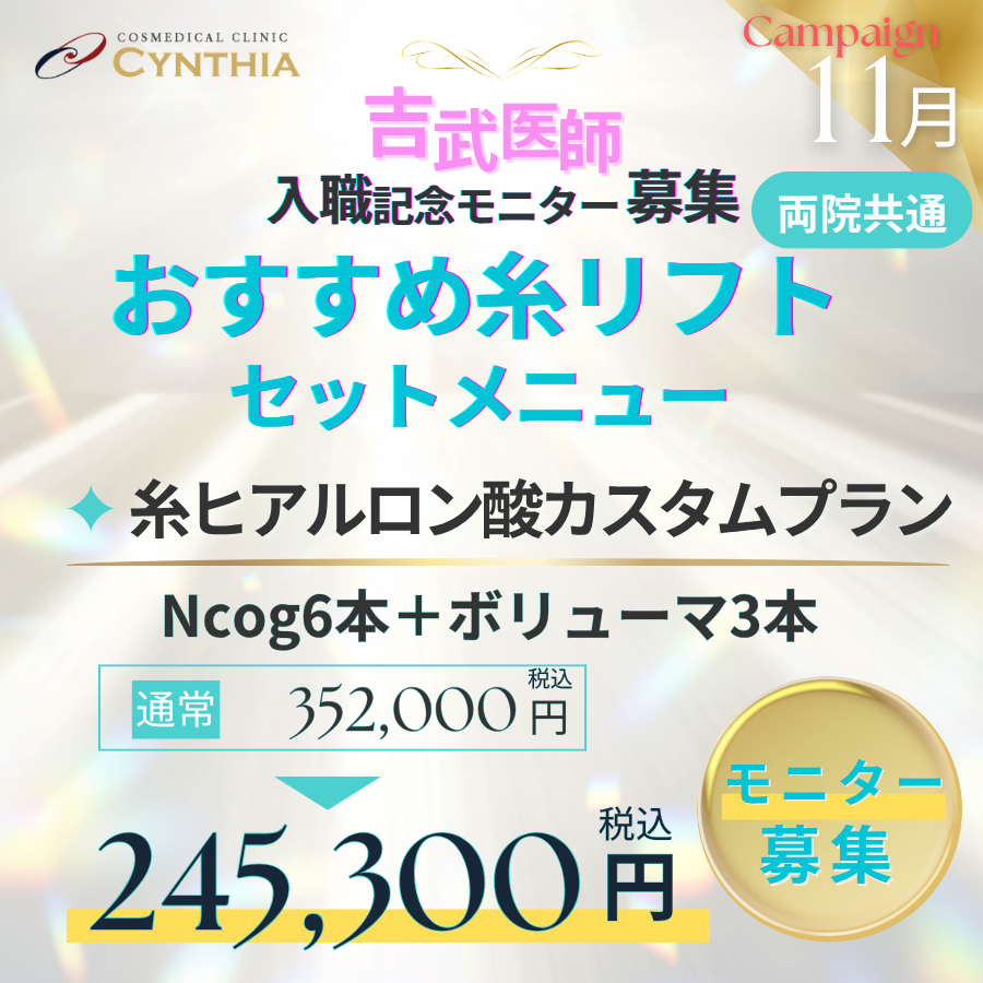 糸ヒアルロン酸カスタムプラン